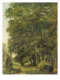 A Wooded Landscape (Oil on Paper on Panel)