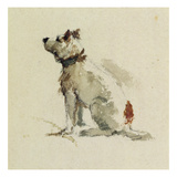 A Terrier, Sitting Facing Left (W/C on Paper)