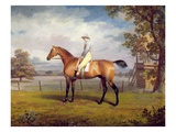 The Duke of Hamilton's Disguise with Jockey Up (Oil on Canvas)