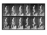 Man Ascending Stairs, from 