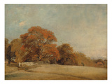 An Autumnal Landscape at East Bergholt, C.1805-08 (Oil on Canvas)