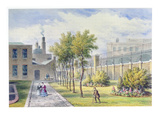 Garden of St. Thomas's Hospital, Southwark, London (W/C on Paper)