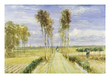 The Poplar Avenue (W/C over Pencil and Black Chalk on Paper)
