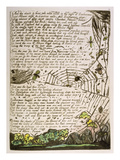 Buy And the Clouds and Fires...', Plate 14 from 'Europe. a Prophecy', 1794 at AllPosters.com