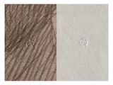 Dry Stamp of Adolphe Giraudon, a G, Recto and Verso, Detail from the Portrait of Leonce Benedite