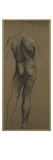 Male Nude Study (Black and White Chalk on Brown Paper)
