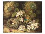 Primroses and Bird's Nests on a Mossy Bank, 1882 (Oil on Canvas)