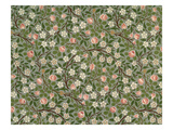 Small Pink and White Flower Wallpaper Design
