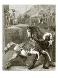 Chariot Horses of Nineveh