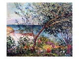 The Artist's Garden in Brittany, 1905 (Oil on Canvas)