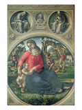 Madonna and Child, 1490-95 (Oil on Panel)