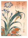 Kingfisher, Irises and Pinks (Colour Woodblock Print)
