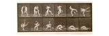 Two Men Wrestling, Plate 347 from 