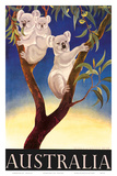 Australia Koala c.1956