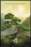 Zen-Mountain