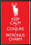 Keep Calm and Conjure a Patronus Charm Carry On Spoof Poster Print