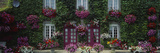 Flowers Breton Home Brittany France