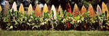 Surfboard Fence in a Garden, Maui, Hawaii, USA