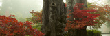 Trees in a Garden During Fog, Butchart Gardens, Victoria, Vancouver Island, British Columbia, Ca...