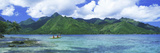 Polynesian People Rowing a Yellow Outrigger Boat in the Bay, Opunohu Bay, Moorea, Tahiti, French...