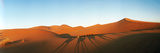 Shadows of Camel Riders in the Desert at Sunset, Sahara Desert, Morocco