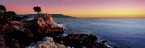 Silhouette of Lone Cypress Tree at a Coast, 17-Mile Drive, Carmel, Monterey County, California, USA