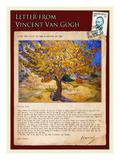 Letter from Vincent: The Mulberry Tree
