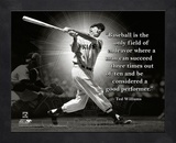 Ted Williams, Boston Red Sox, ProQuote