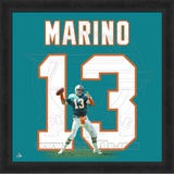 Dan Marino, Dolphins photographic representation of the player's jersey