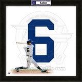 Al Kaline, Tigers representation of the player's jersey