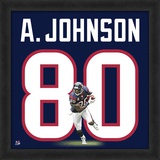 Andre Johnson, Texans representation of the player's jersey