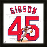 Bob Gibson, Cardinals representation of the player's jersey