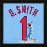 Ozzie Smith, Cardinals representation of the player's jersey