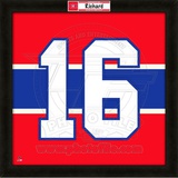 Henri Richard, Canadiens photographic representation of the player's jersey