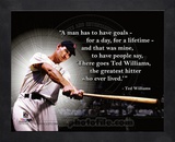 Ted Williams ProQuote