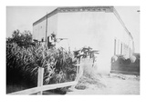 Battle of Juarez, Insurrectos on Irrigation Ditch