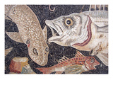 Fish Mosaic