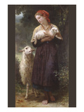 The Newborn Lamb