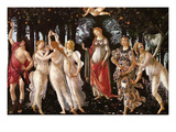 Spring - Primavera