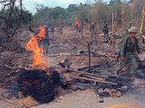 Viet Cong Burning