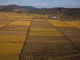 North Korea Hunger