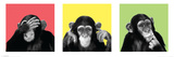 See No Evil, Hear No Evil, Speak No Evil Poster