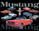 Mustang Collage