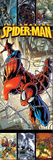 Spider-Man - Web Comic