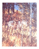 Camouflage