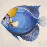 Buy Little Fish III at AllPosters.com