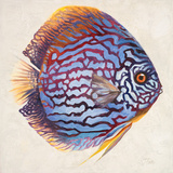 Buy Little Fish I at AllPosters.com