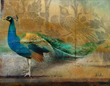 Feathered Dreams I