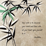 Discover