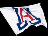 University of Arizona - Arizona Wildcats Flag Flies
